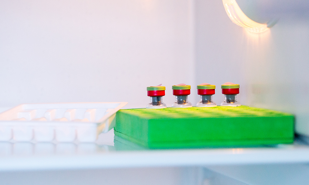 Flu vaccine vials on top shelf of refrigerator