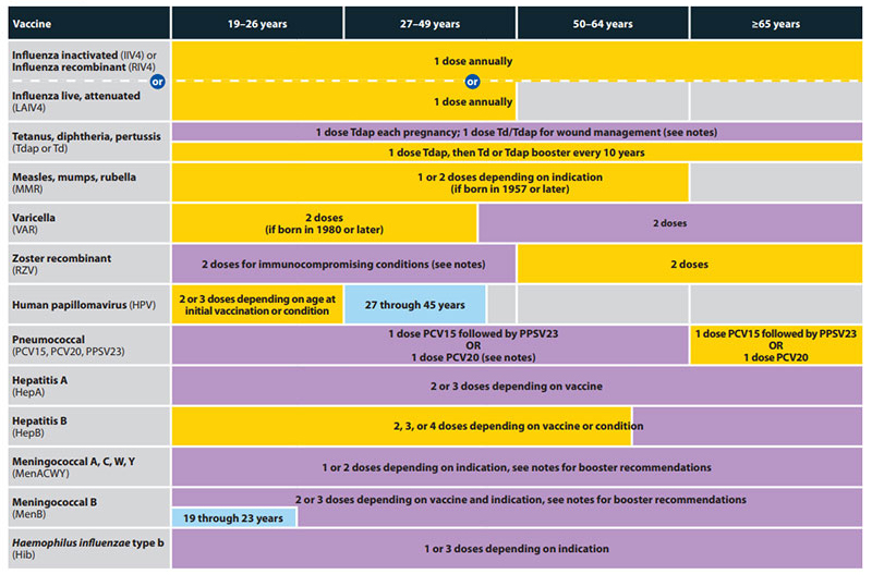 cdc vaccine schedule-adults